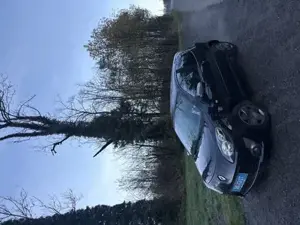 Renault Twingo Bild 3