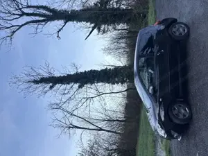 Renault Twingo Bild 2