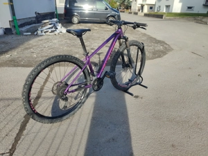 Kindermountainbike Specialized Rockhopper 29Zoll Bild 4