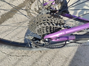 Kindermountainbike Specialized Rockhopper 29Zoll Bild 7