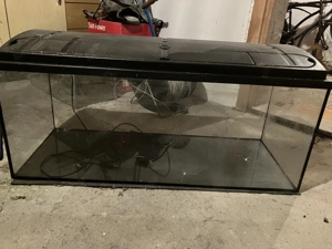 Aquarien zu verschenken. Bild 3