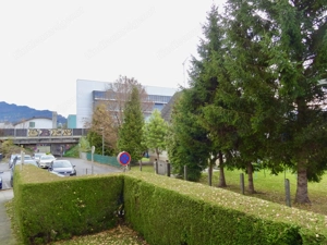 Neue 2 Zimmer Wohnung Bregenz Bild 10