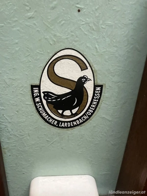 Großer Brutautomat Bild 2