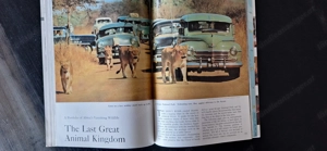 Africa National Geographic (September 1960, 442 Seiten) Englisch Bild 2