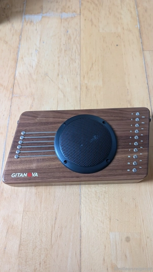 Gitanova - Gitarre ohne Noten spielen