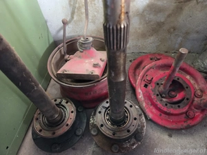 Porsche Standard Star 219 Bild 4