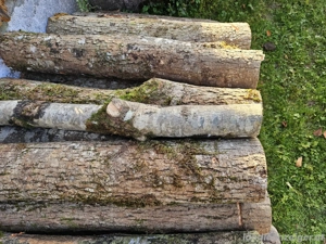 Brennholz Esche zu verkaufen Bild 2