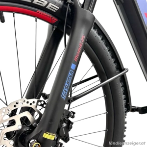 Wheeler i-Leen ATB eBike Gr. M neu Bild 8