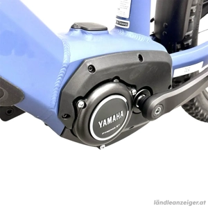 Wheeler i-Leen ATB eBike Gr. M neu Bild 7