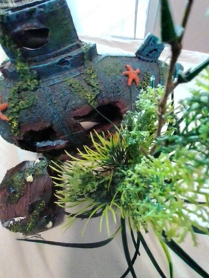Aquarium Zubehör 