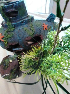 Aquarium Zubehör  Bild 2
