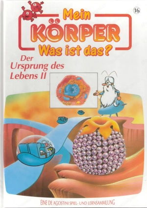 Mein Körper - Was ist das? Bild 3