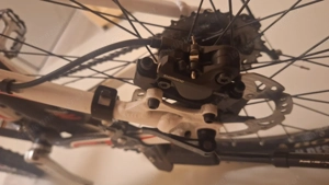 Mountainbike Trek Bild 5