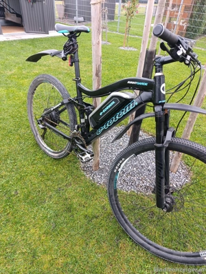 E-Bike E-Totem Avant Garde Bild 3