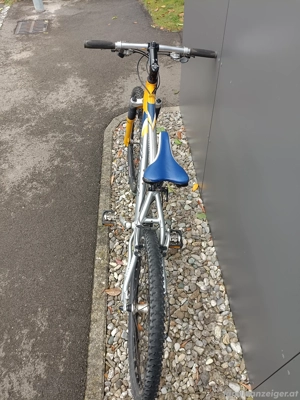 Ghost Spezial Edition  Bild 5