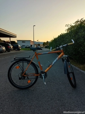 Genesis Mountainbike Bild 4