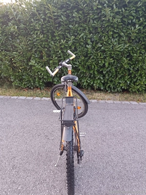 Genesis Mountainbike Bild 3