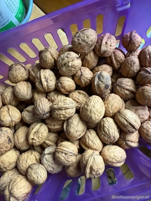 Walnüsse getrocknet