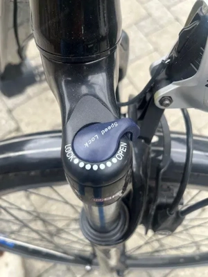 Damen E-Bike mit bequemen Tiefeinstieg Bild 4