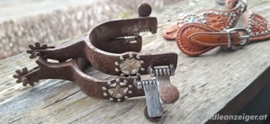 sporen und sporenriemen Bild 2
