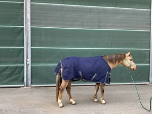 Busse Übergangsdecke - 135cm - wasserdicht 