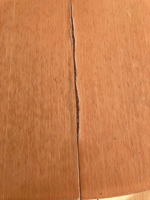 Esstisch mit Synchonauszug und 3 Sessel Bild 7