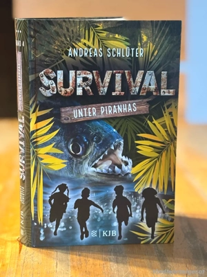 Kinderbücher Bild 2