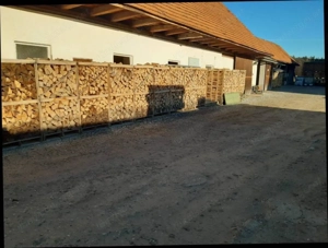 Brennholz (Eiche,Buche,Esche,Ahorn,Charme,Tanne) Bild 3