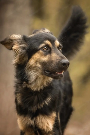 Kreativer Igorök hat noch Platz für Liebe Bild 3
