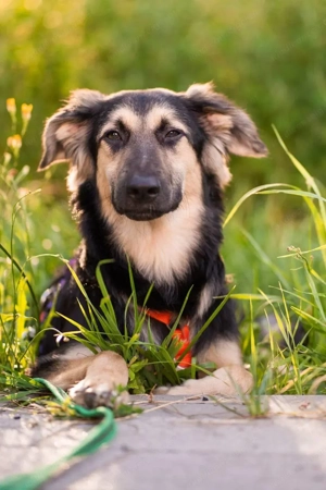 Der mutige Philip sucht seine Menschen