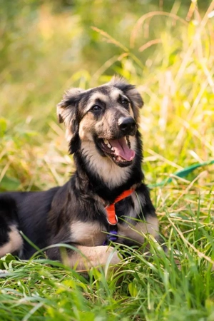 Der mutige Philip sucht seine Menschen Bild 5