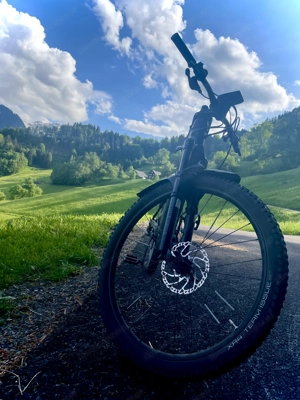 E- Mountainbike TREK Powerfully FS7 Bild 2