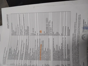 PKW Anhänger Bild 4