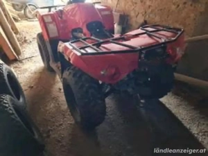 Suche Quad Atv Geländefahrzeug Bild 2