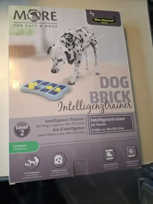 Hunde Intelligenz Spiele  Bild 2