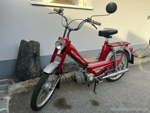 KTM Hobby 2 Mofa Bild 2