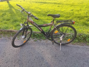 Prince 24" Jugendrad