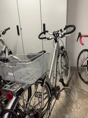 Fahrrad für Erwachsene Bild 3