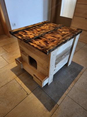 Katzen Haus (neu) Bild 4