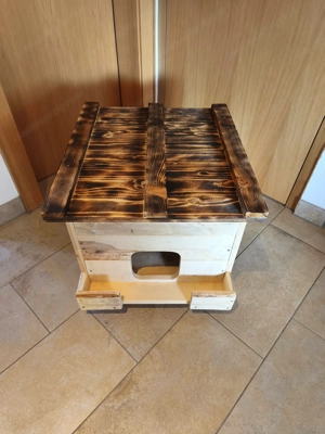 Katzen Haus (neu) Bild 2