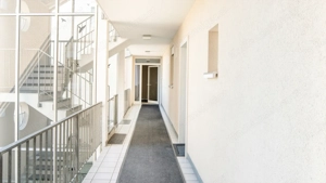 2- Zimmer Wohnung in Höchst zu vermieten Bild 6