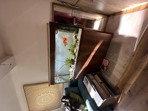 Verkaufe 240 Liter Aquamarium mit Goldfische Bild 2