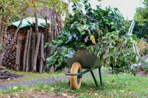 Gartenarbeit Winterfit  Bild 2