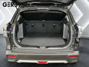 Suzuki S-Cross Bild 13