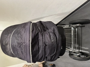 Teutonia Elegance Mod.2013 Bild 3