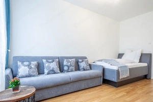 Wohnung voll möbliert mit 2 Zimmer Bild 2