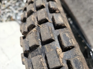 Gas Gas TXT 300 GP 2024 Trial Bild 8