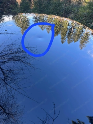 VW Polo Lounge 1.0 Bild 5