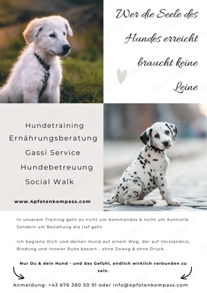 Hundetraining l Ernährungsberatung l Gassi Service