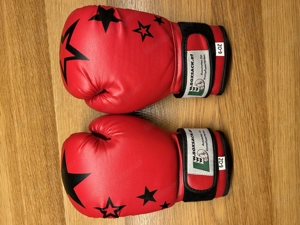 Boxhandschuhe Bild 2